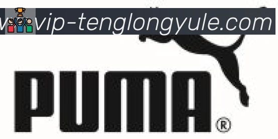 腾龙娱乐官网体育合作伙伴